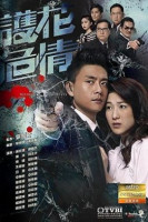 Witness Insecurity (2012)