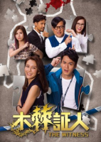 The Witness (HK 2020) (2020)