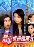 Detective Investigation Files II (1995)