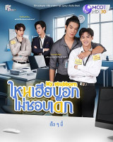 My Stubborn (2025)
