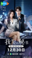 Dear Secretar (2025)
